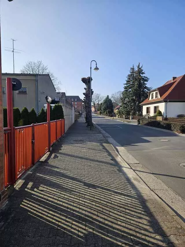 Linden auf Kopf setzen Linden auf Kopf setzen