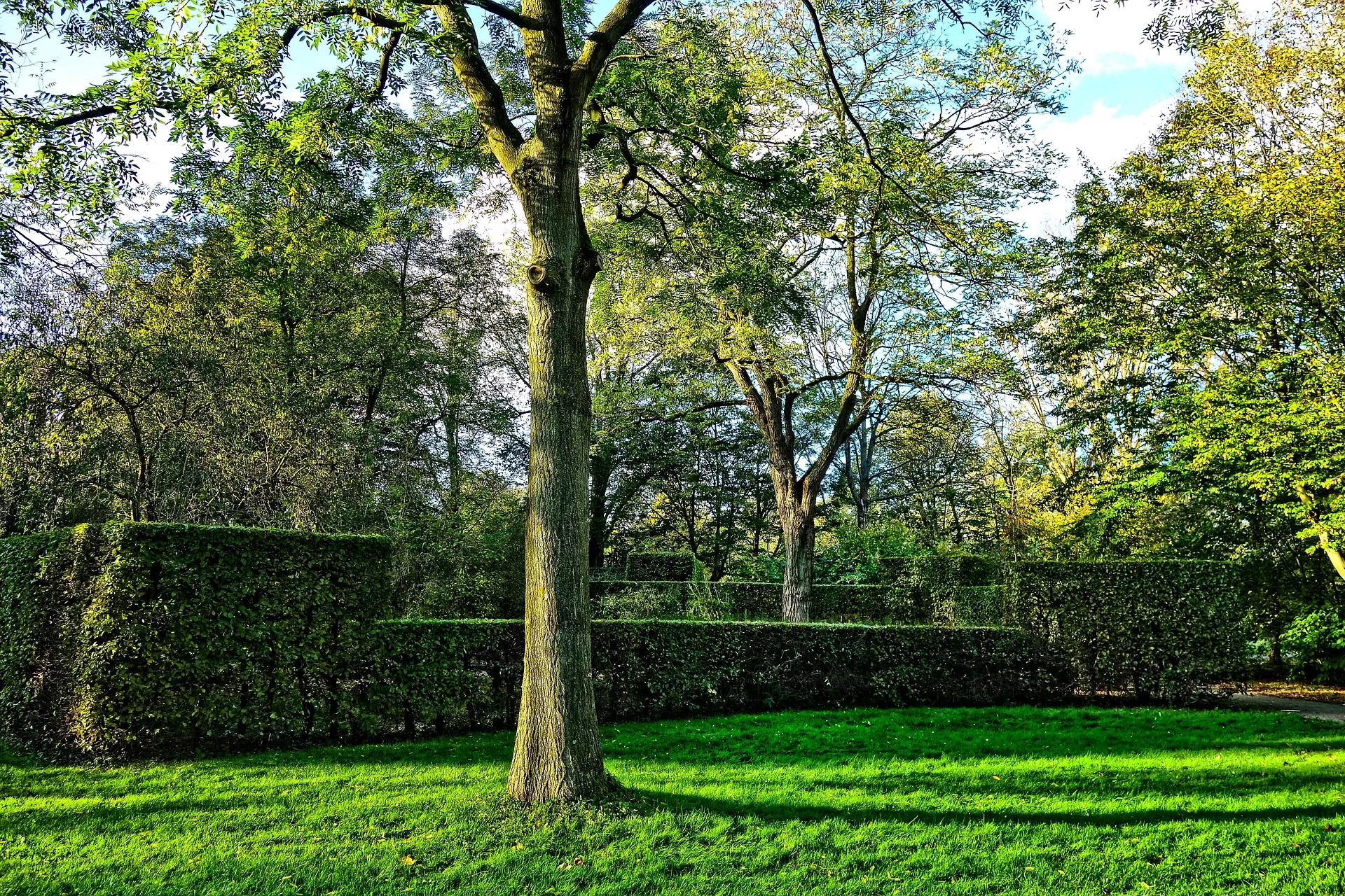 park-2892769-1920