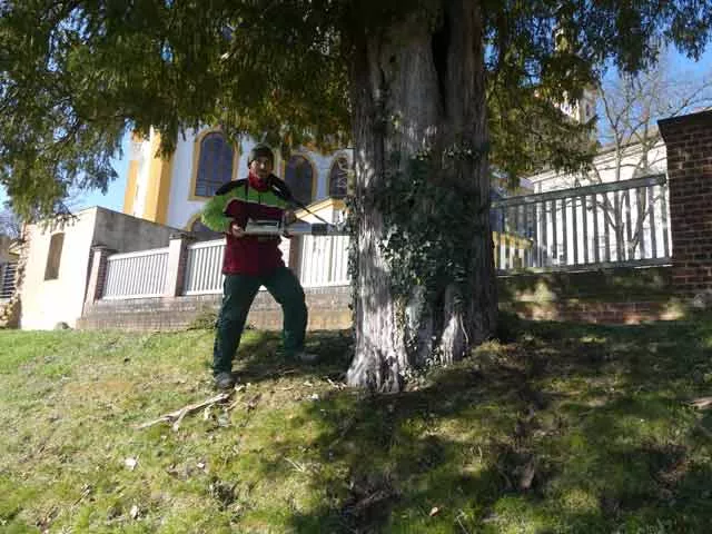 Bohrwiderstandsmessung