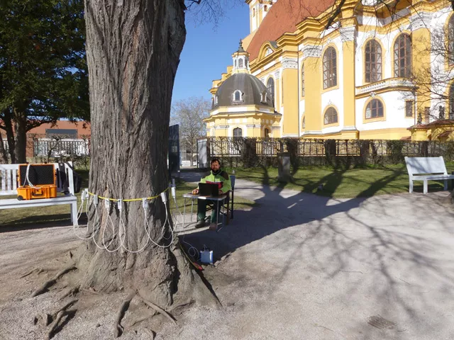 Schalltomographie- Messaufbau