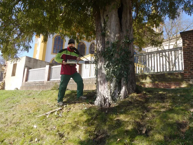 Bohrwiderstandsmessung