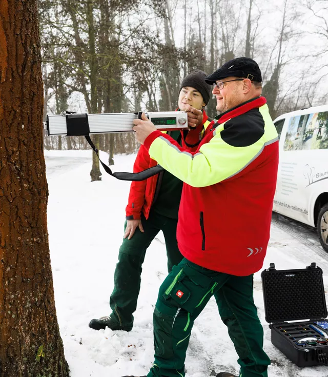 Baumgutachten - Baumuntersuchung