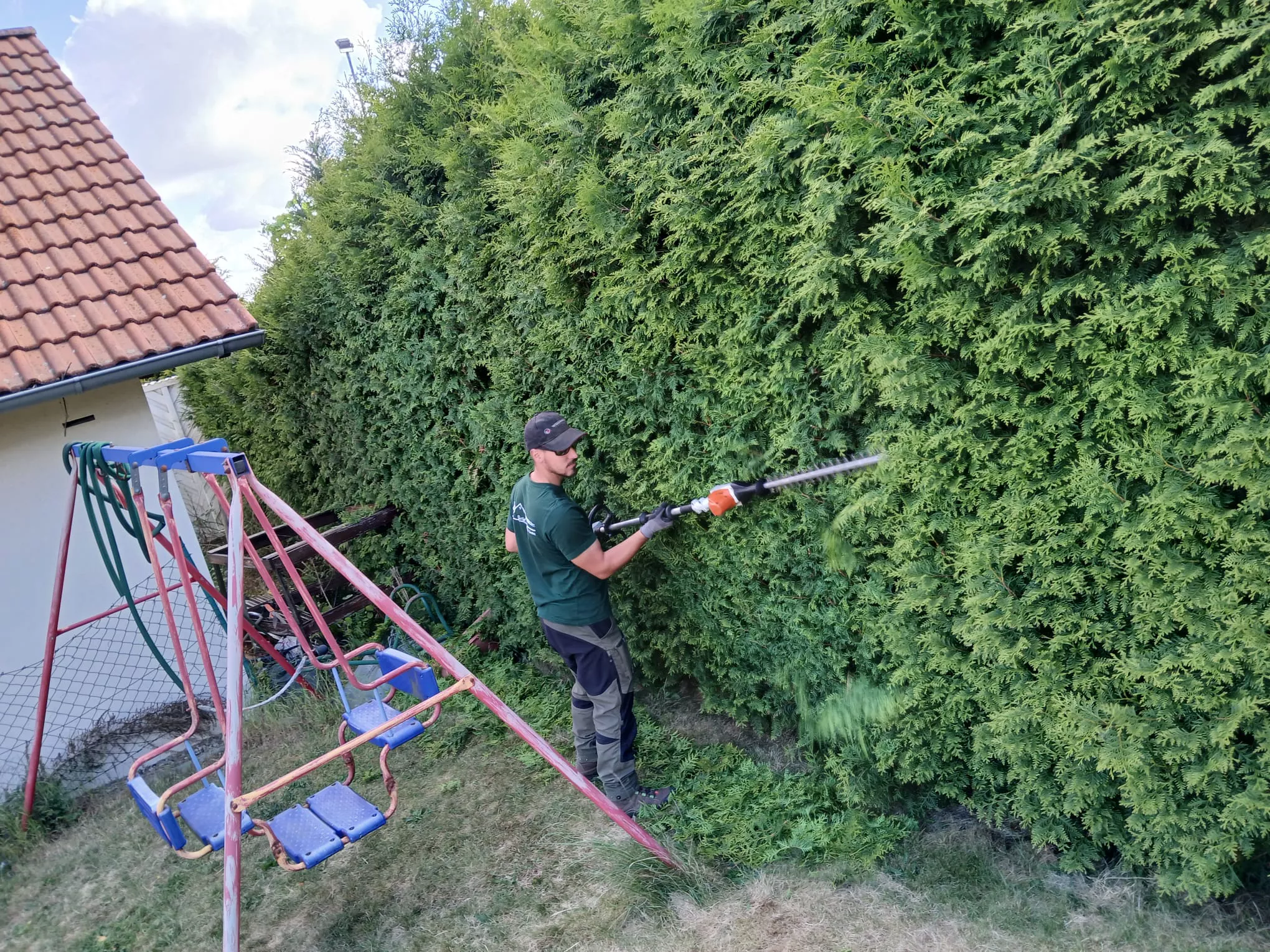 Heckenschnitt-Hochhecke Heckenschnitt-Hochhecke