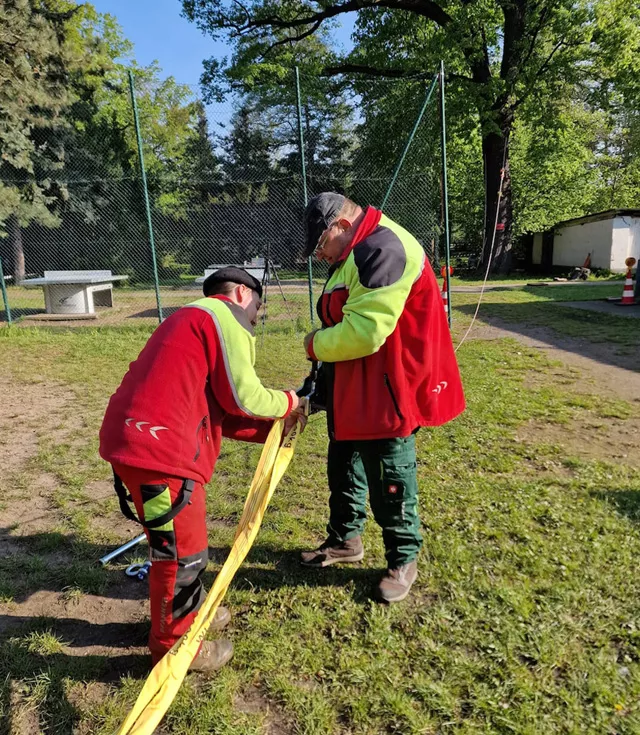 Baumgutachten - Baumuntersuchung